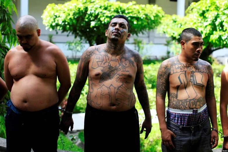 MS-13 gang members detained by police.