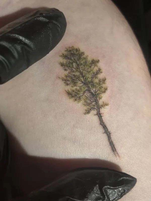 color botanic tatuaje en thigh #49729 | Tatuador GrianDhearg Tattoo