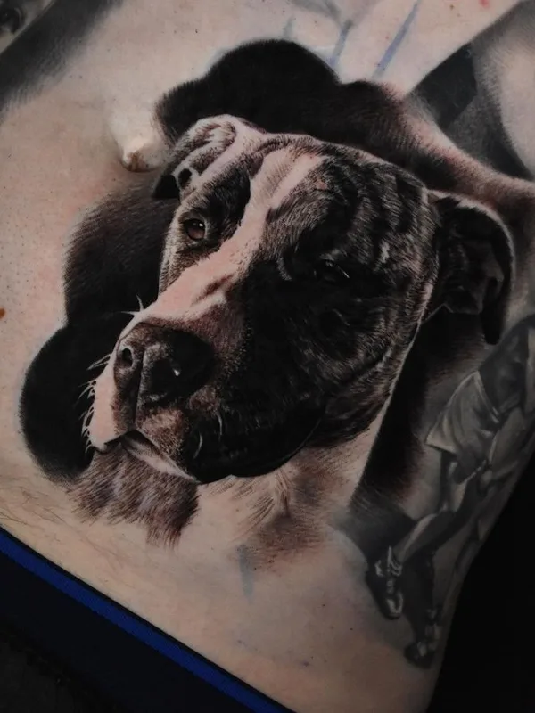 black and grey realism tatuaje en stomach #67564 | Tatuador Ignácz Bence