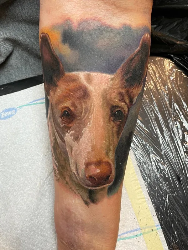 color realism tatuaje en forearm #67603 | Tatuador Szabolcs Oravecz