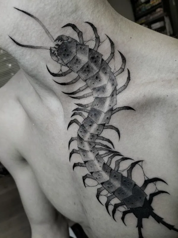 black and grey blackwork Tatuaggio su chest #75600 | Tatuatore Ирина Пихта