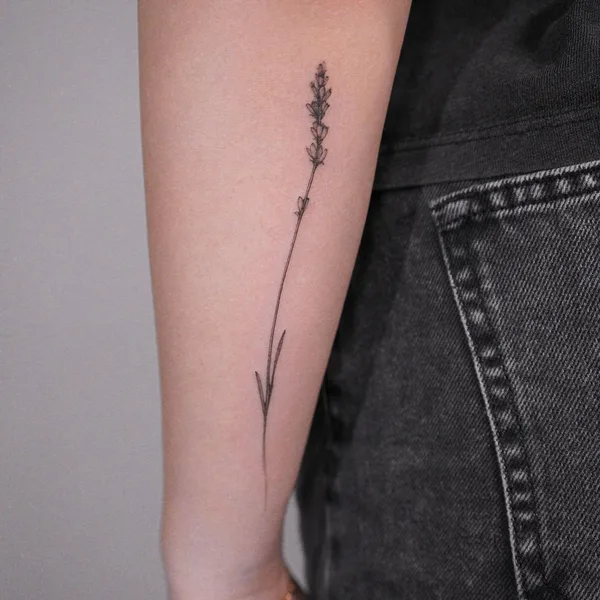 Graphic tattoo by Полина Матвеева in Saint Petersburg