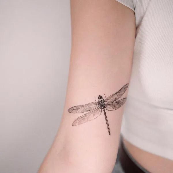 Graphic tattoo by Полина Матвеева in Saint Petersburg