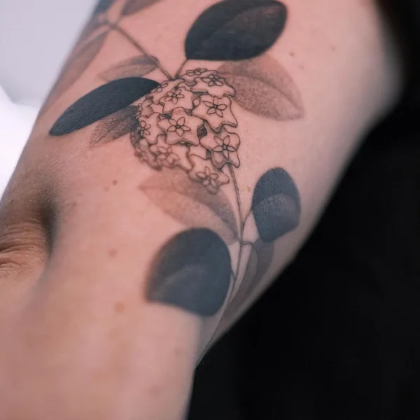 Botanical tattoo by KimBobby in Amsterdam