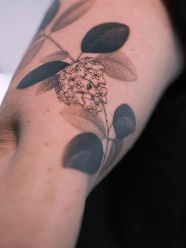 black and grey botanic татуировка на forearm #58288 | Тату мастер KimBobby