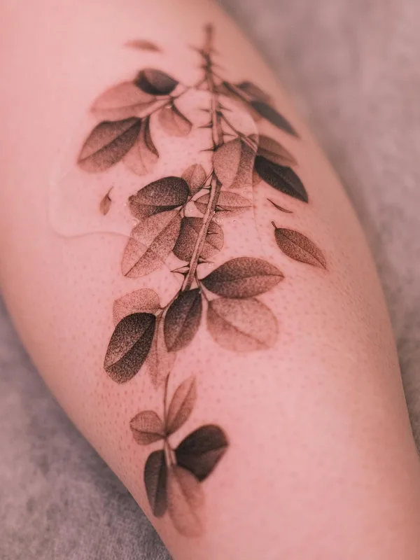 black and grey botanic татуировка на calf #58290 | Тату мастер KimBobby