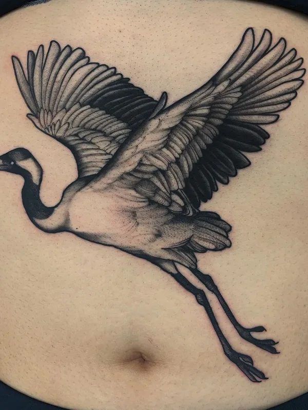black and grey realism татуировка на stomach #61016 | Тату мастер Camomila
