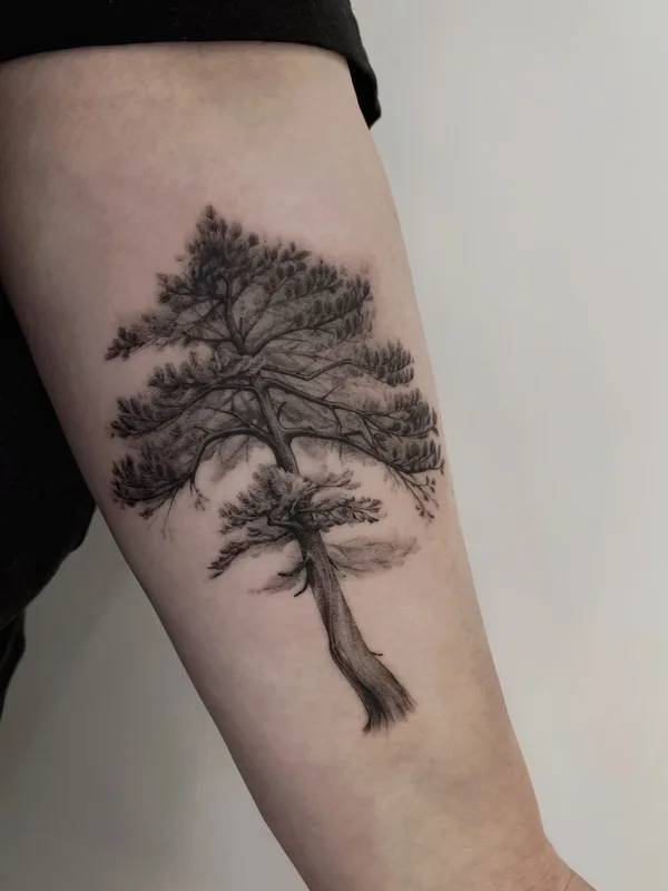 black and grey black and grey татуировка на forearm #52959 | Тату мастер Максим Пишунов