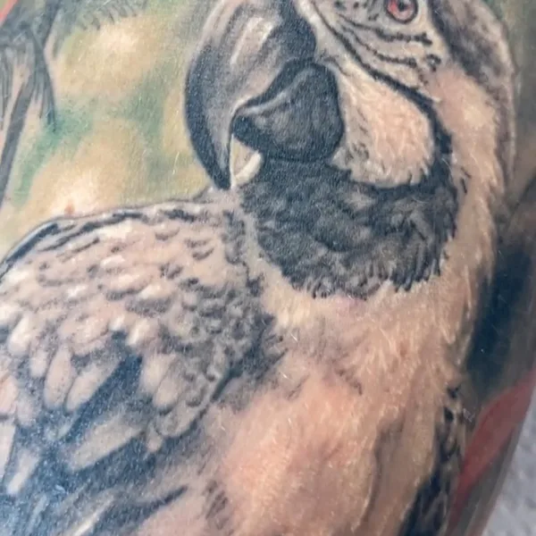 freehand tattoo by CultivarTattoo in Belfast