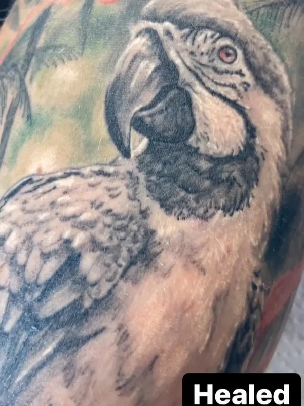 black and grey realism tattoo on forearm #54314 | Tattoo Artist CultivarTattoo