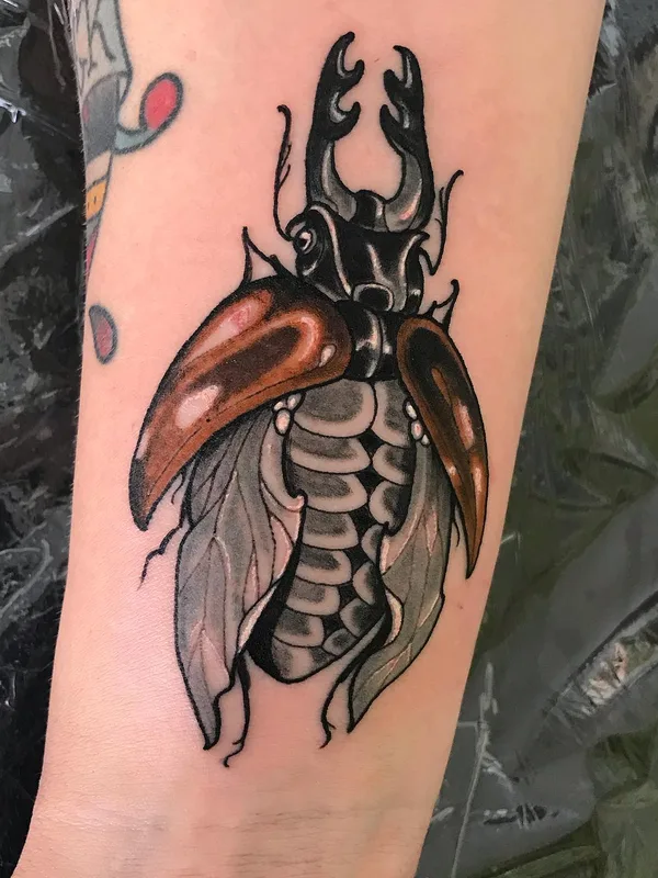 color neo traditional Tatuaggio su forearm #56175 | Tatuatore Kirsten Grzeskowiak