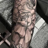 Sara Stigmata
