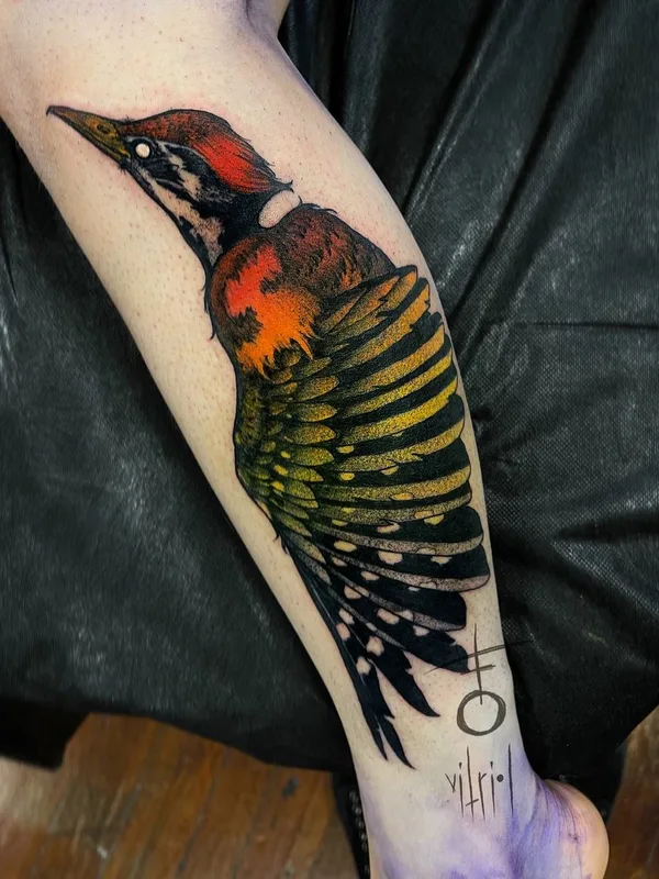 color illustrative Tatuaggio su calf #56569 | Tatuatore Vitriol