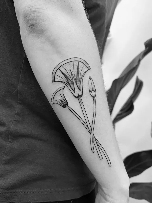 black and grey linework tatouage sur forearm #44842 | Artiste tatoueur Bojana