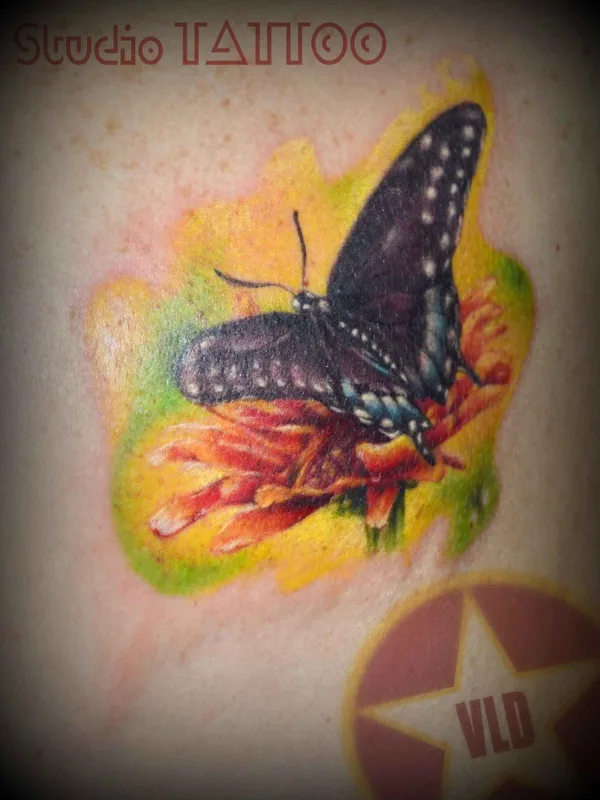 color realism татуировка на shoulder blade #12536 | Тату мастер Владислав