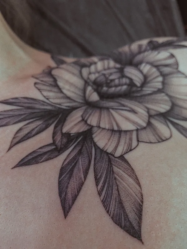 black and grey botanic татуировка на shoulder blade #37119 | Тату мастер Зеленская Майя
