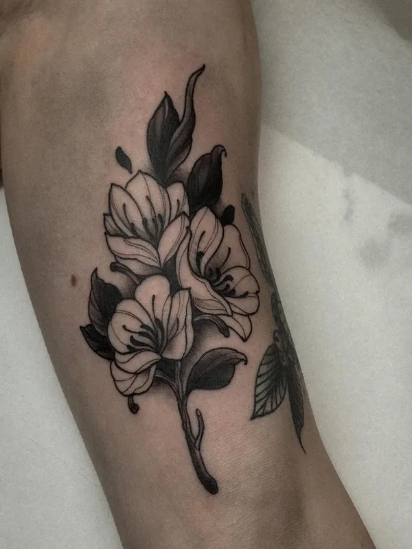 black and grey blackwork татуировка на forearm #45198 | Тату мастер Daan Boets