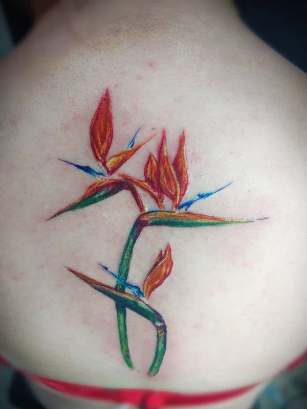 color watercolor татуировка на upper back #35100 | Тату мастер Жесик Батанист