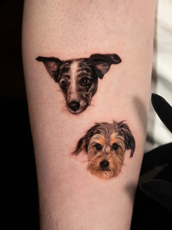 color realism tattoo on forearm #65157 | Tattoo Artist Dokhwa