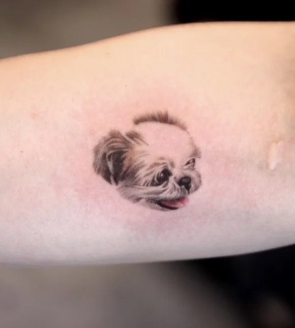 black and grey realism tatuaje en forearm #58877 | Tatuador Sodam