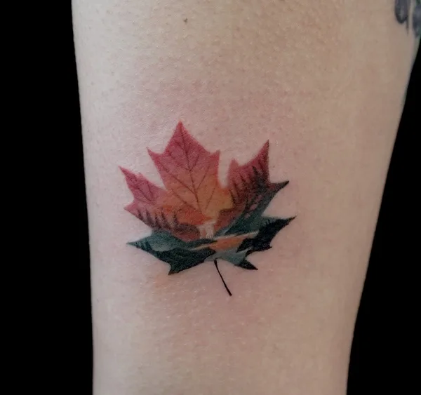 color illustrative tatuaje en forearm #58876 | Tatuador Sodam