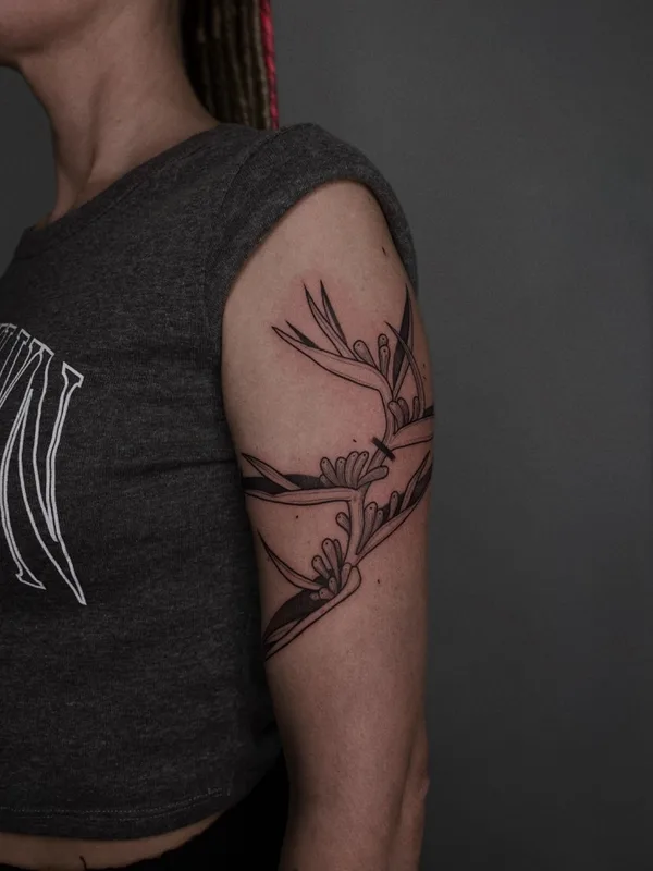 female black linework татуировка на upper arm #71117 | Тату мастер HAMSTERTATTOO 