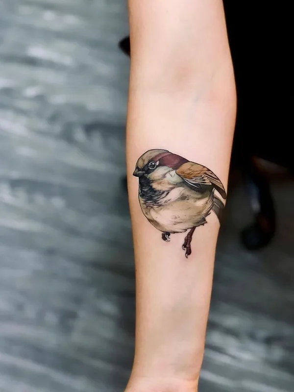 color realism Tatuaggio su forearm #41374 | Tatuatore Ignis.ink