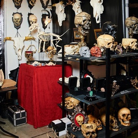 Tattoo United 5 | 1 день