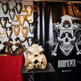 Tattoo United 5 | 1 день