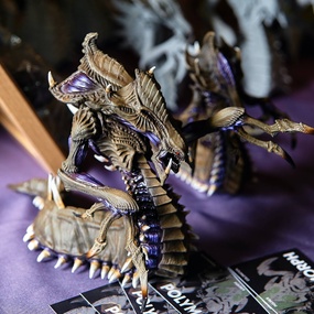 Tattoo United 5 | 1 день