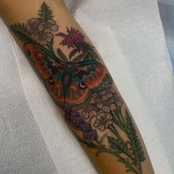 Нео традиционная tattoo by Maia Brouillette in Little Rock