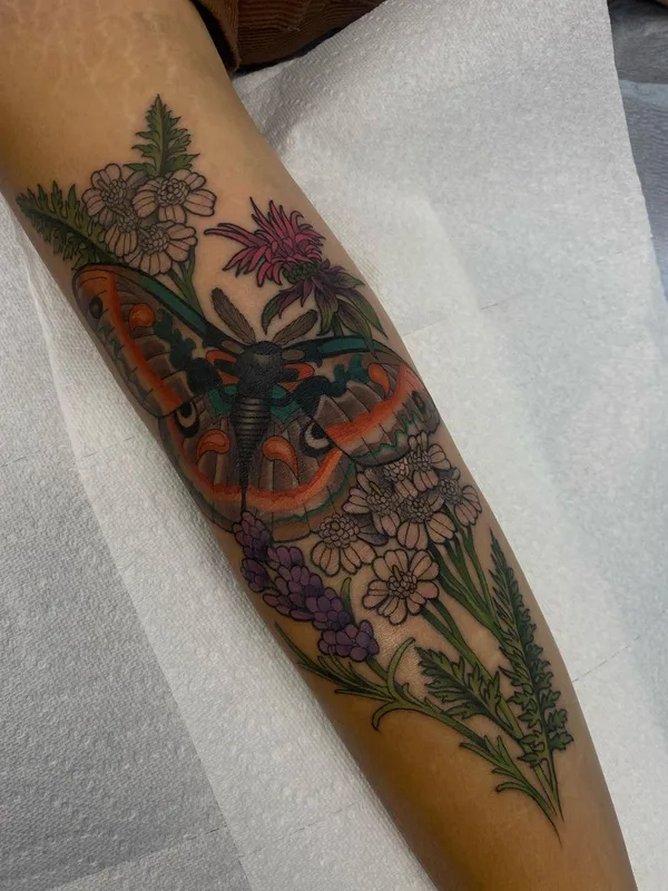 color illustrative татуировка на forearm #56916 | Тату мастер Maia Brouillette
