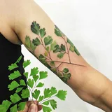Рита Rit Kit Золотухина
