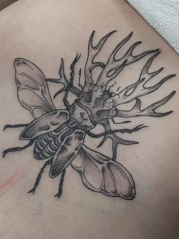 black and grey blackwork Tatuagem em stomach #66836 | Tatuador Nadan Sarvan