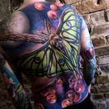 Sandra Daukshta