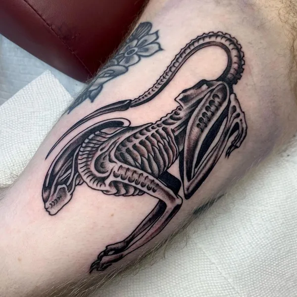 Traditional tattoo by Ellen Perry in Washington, D.C.