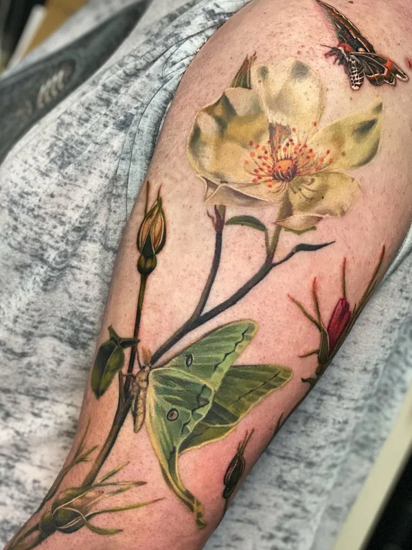 color realism Tatuagem em forearm #57062 | Tatuador Sean Gilbert