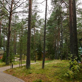 Неконвенция 1RS | 1-2 день