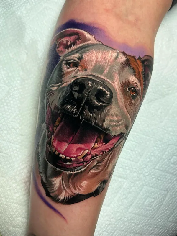 color realism татуировка на forearm #60769 | Тату мастер Paul Marino