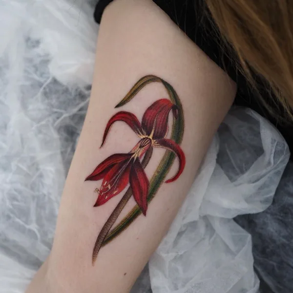 Botanical tattoo by Kemal Özceylan in Istanbul