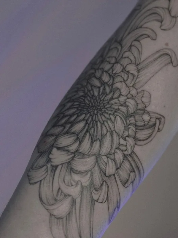 black and grey linework Tatuaggio su forearm #51817 | Tatuatore Кристина Марч