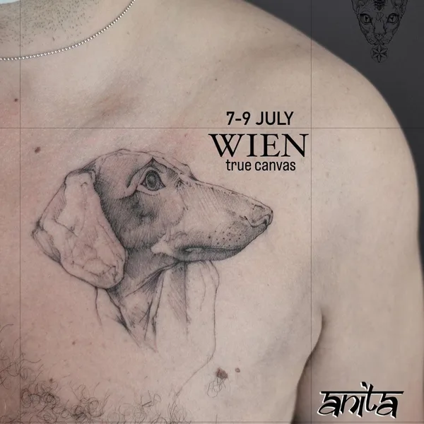 Sketch tattoo by Anita Rossi in Torino