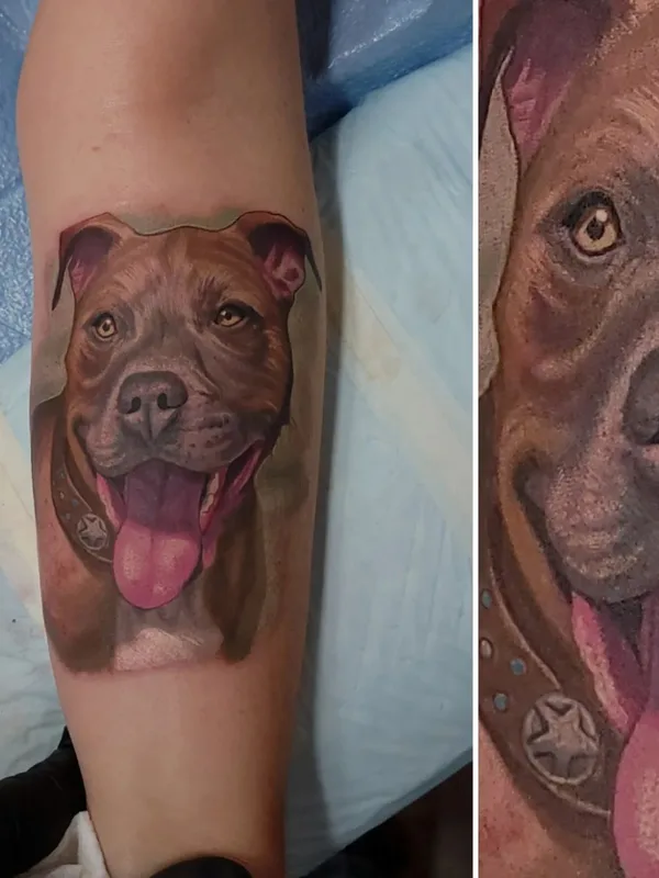 color realism Tatuaggio su forearm #57256 | Tatuatore Halo Grey