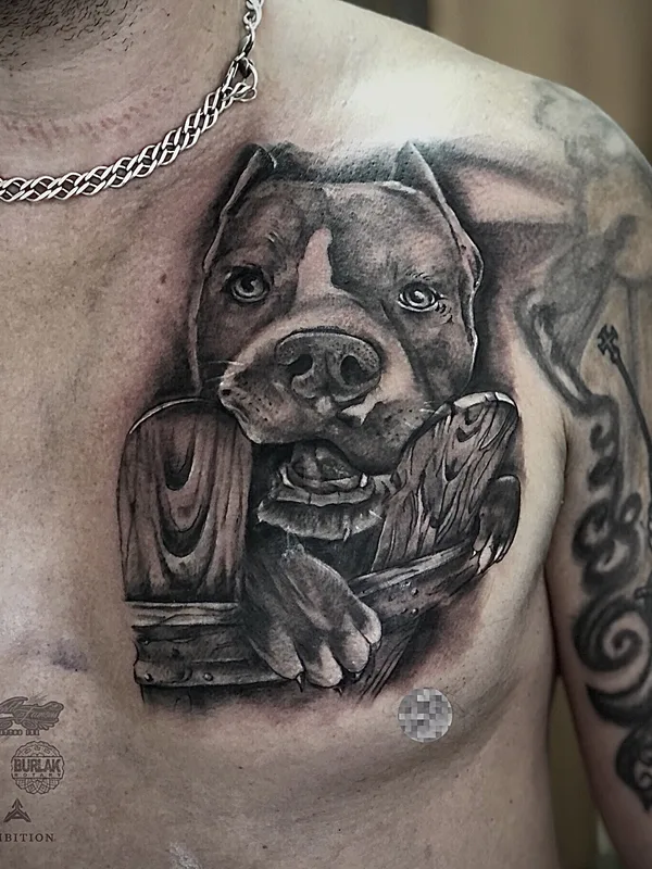 male black and grey realism 纹身 在 chest #37468 | 纹身师 Михаил Гуров