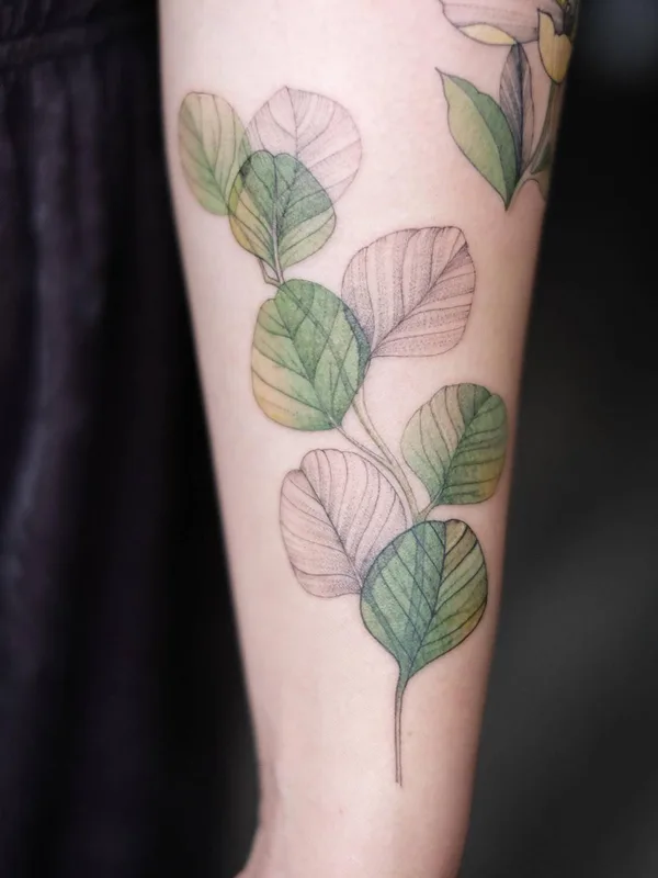 color botanic 타투 부위 forearm #34038 | 타투이스트 Екатерина Nora Ink Алексеева