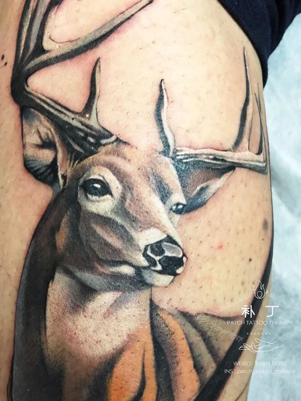color realism татуировка на calf #43286 | Тату мастер Jingxi Gu