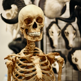 19-й Московский Фестиваль Татуировки | 16 апреля 2022