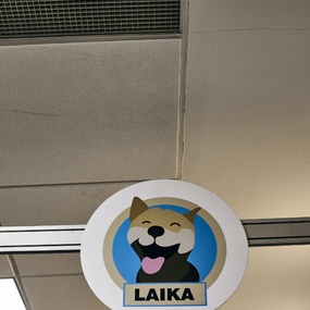 19-й Московский Фестиваль Татуировки | 16 апреля 2022