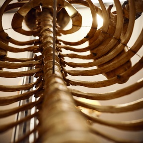 19-й Московский Фестиваль Татуировки | 17 апреля 2022