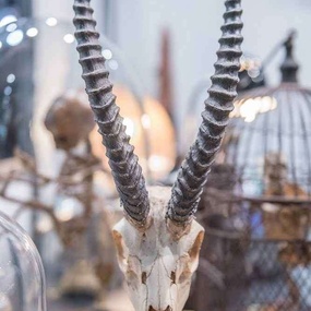 Deauville Tattoo Festival 2017 | 2 день